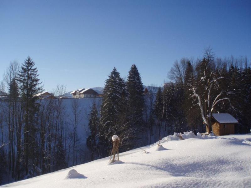 Eisenstattgut Faistenau Exterior foto